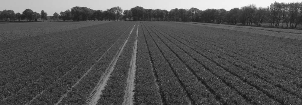 Landschapsvideo Landschap video laten maken